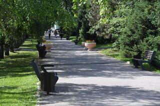 Три новых парка планируют создать в Алматы