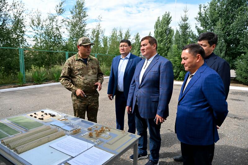 В питомнике области Абай ежегодно выращивают более 3 миллионов саженцев сосны