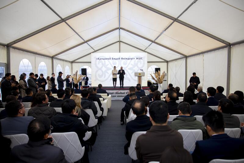 В Конаеве открыли завод по переработке пшеницы на 15 млрд тенге