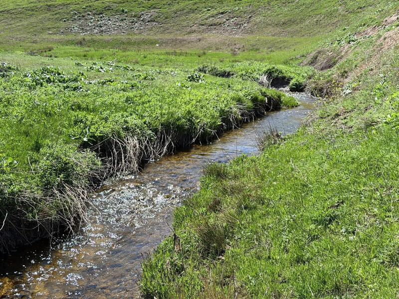 В Жамбылской области продолжается акция «Мөлдір бұлақ»