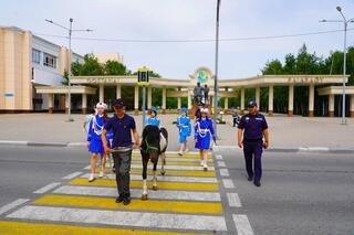“Зебра на зебре”: в Костанае пони помогает в профилактике ДТП
