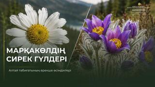 Редкие цветы Маркаколя