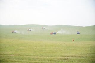 ТУРКЕСТАН: В ОБЛАСТИ АКТИВИЗИРОВАНА БОРЬБА С САРАНЧОЙ