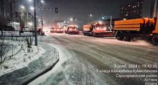 Свыше 600 единиц спецтехники задействуют ночью в снегоуборке в Астане