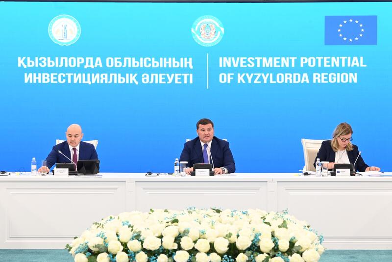 Обсужден инвестиционный потенциал Кызылординской области