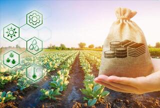 Субсидирование повышения урожайности и качества продукции растениеводства