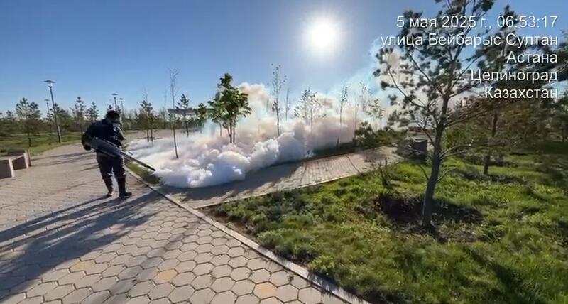 Как в столице ведут работы по борьбе с комарами, мошками и грызунами