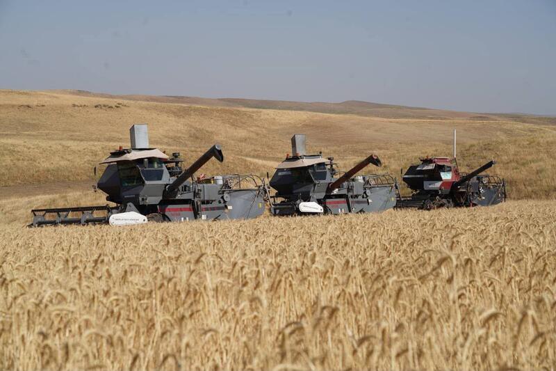 АГРОПРОМЫШЛЕННЫЙ КОМПЛЕКС ТУРКЕСТАНСКОЙ ОБЛАСТИ ЗАНИМАЕТ ПЕРВОЕ МЕСТО В РЕСПУБЛИКЕ