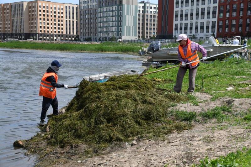 Таза Қазақстан: в Астане запустили биологическую очистку городского водоёма