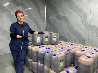 Грамотное питание растений — залог высокого урожая