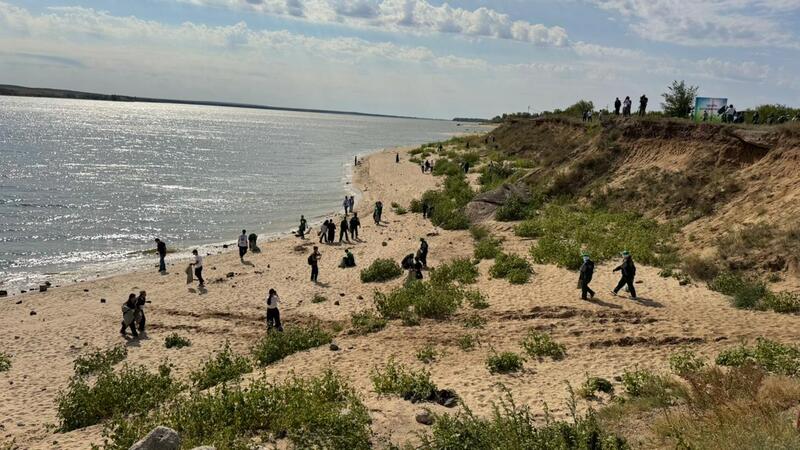 Экологическая культура – основа гражданской зрелости