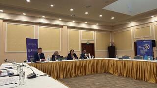 Директор Департамента международного права Айша Айткалиева приняла участие в тематической консультации УВКПЧ ООН по вопросам противодействия пыткам