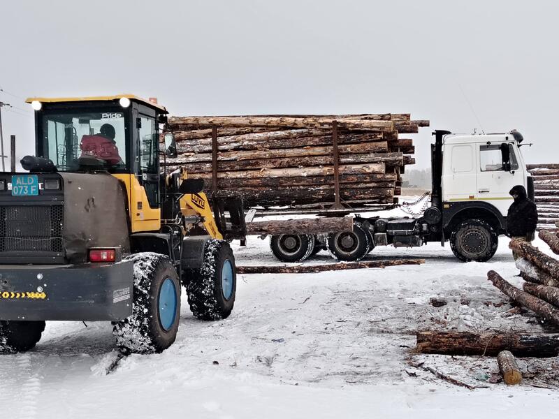 В Казахстане подведены итоги пилотного проекта по маркировке древесины