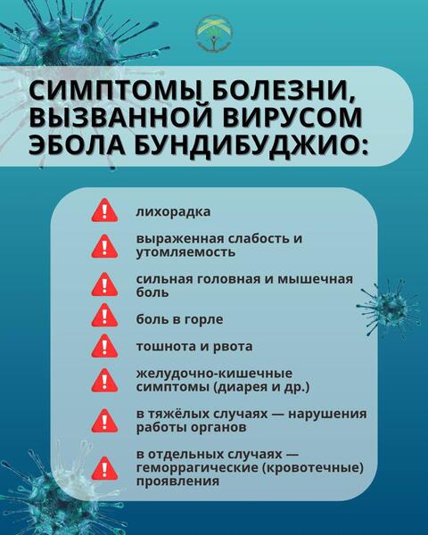 Эбола: что важно учитывать при поездках за границу