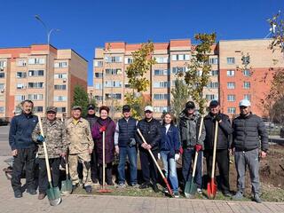 Больше 700 деревьев высадили в столичном жилом массиве участники субботника