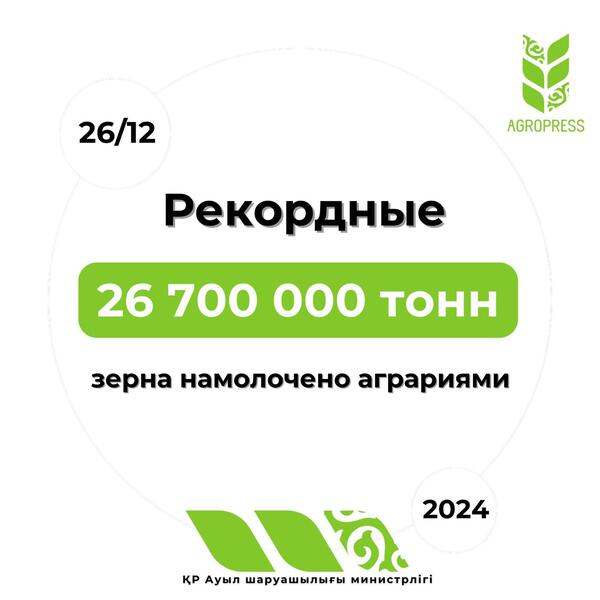 Рекордные 26 700 000 тонн зерна намолочено аграриями