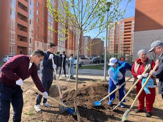 Более 100 тыс. человек приняли участие в общегородском субботнике в Астане