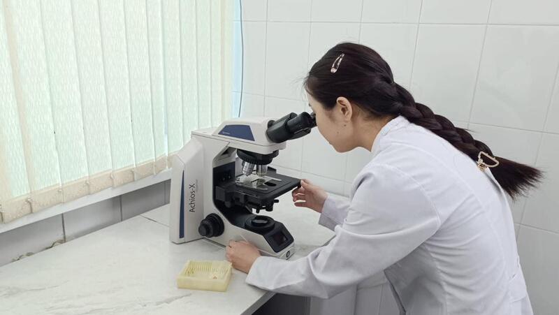 В области Абай открыт селекционный центр овцеводства