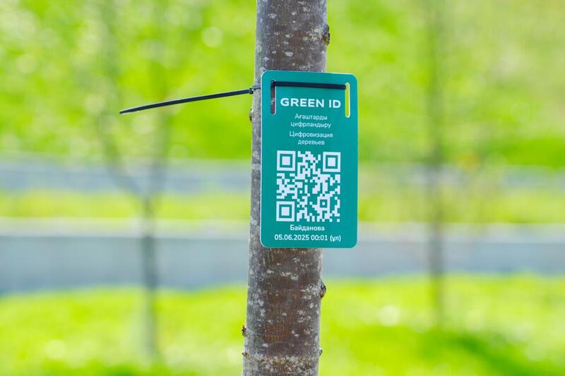 Каждому новорожденному - по дереву: необычную экоакцию провели в Астане