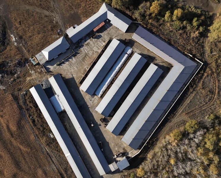 За первое полугодие в области Жетісу произвели свыше 47 тыс. тонн мяса и порядка 105 тыс. тонн молока