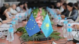 Правовые механизмы защиты жертв домашнего насилия рассмотрели на семинаре в Косшы