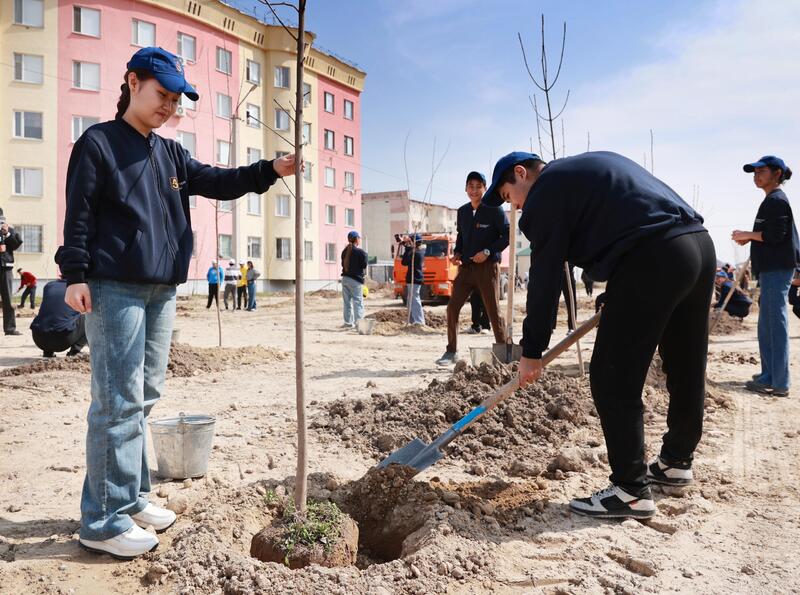 «Таза Қазақстан»: в Жамбылской области высадили свыше 9 тысяч деревьев