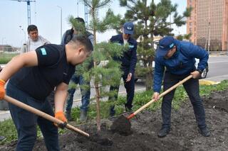 Зелёная миссия спасателей: 30 добрых дел к юбилею МЧС