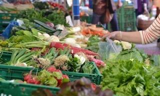 Сельскохозяйственная ярмарка выходного дня ожидает астанчан