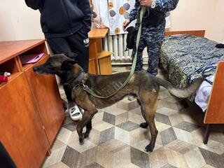 Антинаркотический месячник: рейд в целях обеспечения безопасности студентов провели в столичных общежитиях