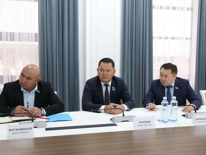 Ербол Карашукеев принял председателя Жамбылского областного маслихата