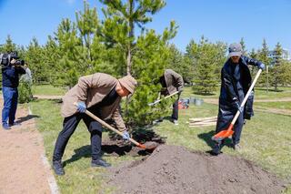 Таза Қазақстан: группа «Орда» посадила деревья в Астане