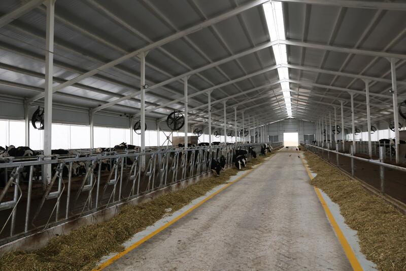 Рабочая поездка в Жамбылский район: образование, жилищная политика, АПК