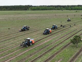 Зелёное будущее: в Костанайской области высадили свыше 14 миллионов сеянцев