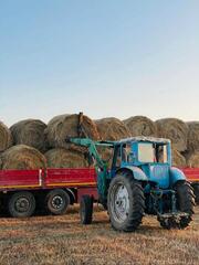 В Казахстане заготовлено 27,6 млн тонн кормов