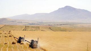 В Казахстане намолочено 6,5 млн тонн зерна