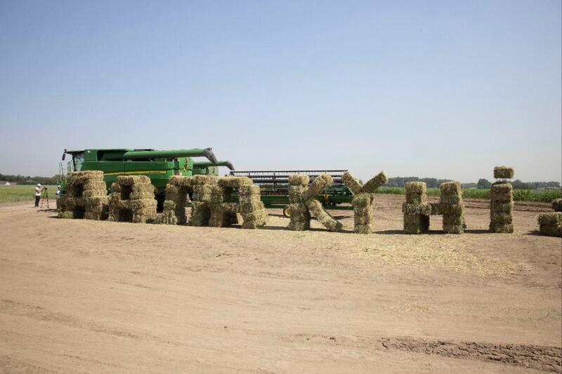 На Дне поля в Алматинской области обсудили развитие карбонового и органического земледелия