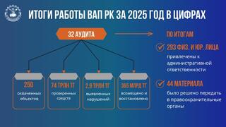 Найти нарушения, дать поручения, проследить за исполнением: чем занималась Высшая аудиторская палата в 2025 году