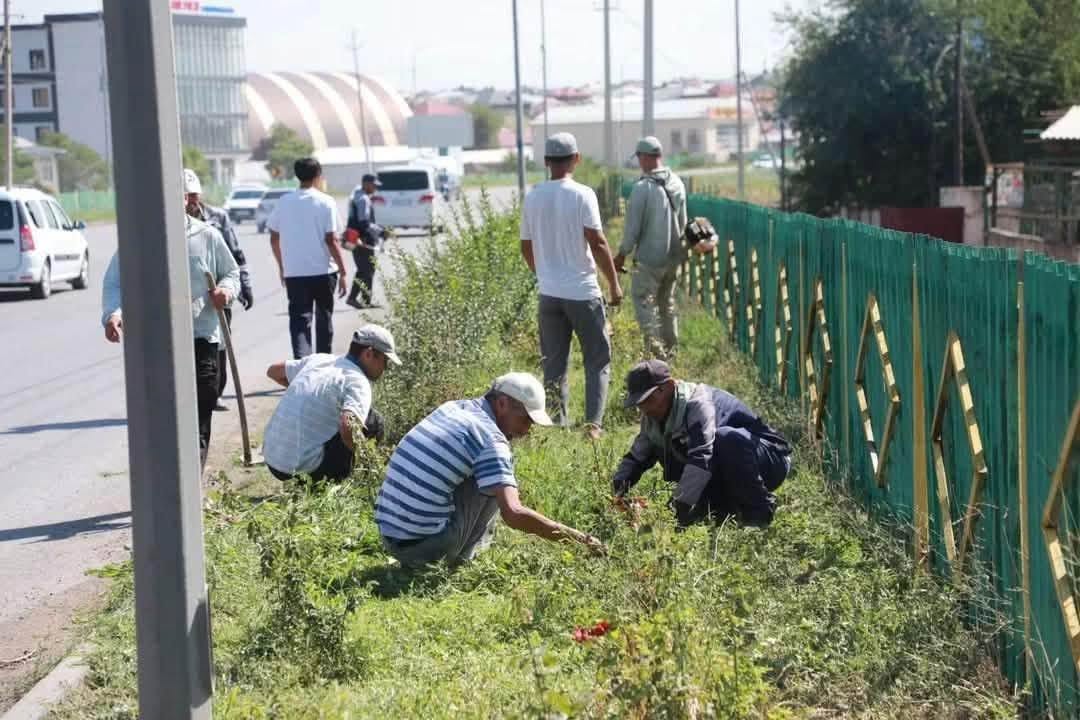ЖЫЛ БАСЫНАН БЕРІ ТҮРКІСТАН ОБЛЫСЫНДА «ТАЗА ҚАЗАҚСТАН» БАҒДАРЛАМАСЫ АЯСЫНДАҒЫ ЖҰМЫСТАРҒА 500 МЫҢНАН АСТАМ АДАМ ҚАТЫСЫП, 16 МЫҢ ТОННАДАН АСТАМ ҚОҚЫС ШЫҒАРЫЛДЫ