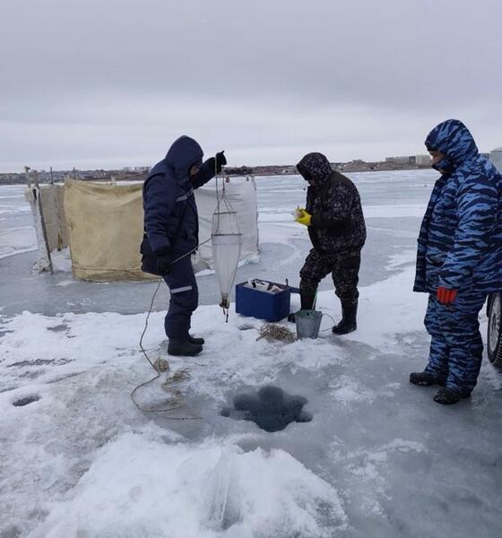 На Балхаше изучают состояние рыбных запасов