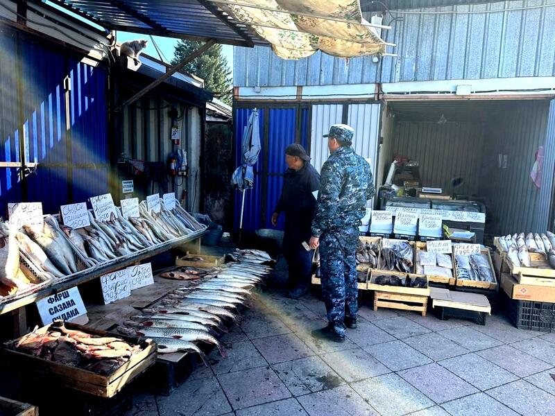 В ВКО подвели итоги республиканского оперативно-профилактического мероприятия «Нерест»