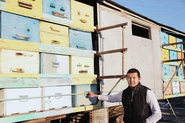 В Шымкенте благодаря государственной поддержке динамично развивается пчеловодство