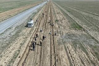 ТУРКЕСТАН: В СОЗАКЕ ТЕРРИТОРИЯ ЗЕЛЕНОГО ПОЯСА УВЕЛИЧИЛАСЬ НА 3 КИЛОМЕТРА