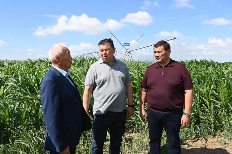 Заместитель Премьер-министра ознакомился с состоянием агросектора в Казалинском районе