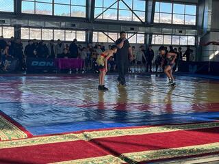 Вольная борьба - сила традиций: юные спортсмены почтили память великого тренера И.И. Исмаилова