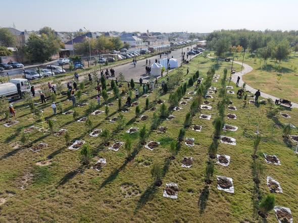 «ТАЗА КАЗАХСТАН»: В ПРОШЛОМ ГОДУ В ТУРКЕСТАНСКОЙ ОБЛАСТИ ВЫСАЖЕНО БОЛЕЕ 1 МЛН САЖЕНЦЕВ