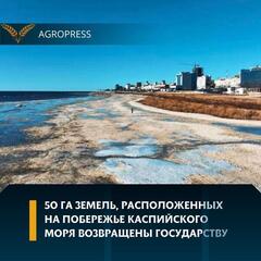 50 га земель, расположенных на побережье Каспийского моря возвращены государству