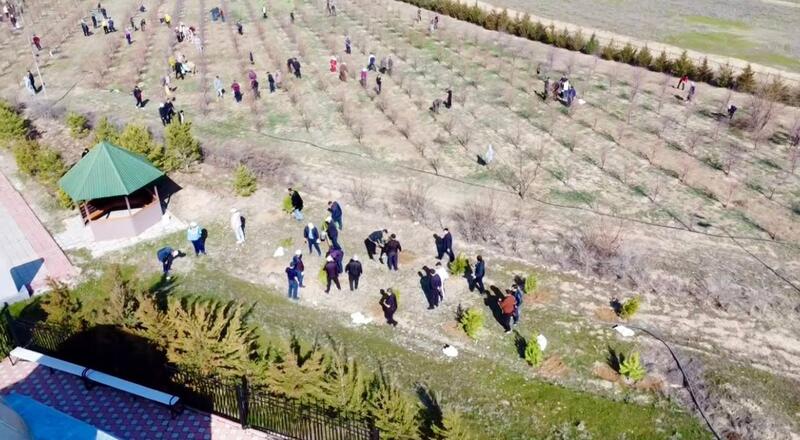 «Таза Қазақстан»: в Жамбылской области высадили свыше 9 тысяч деревьев