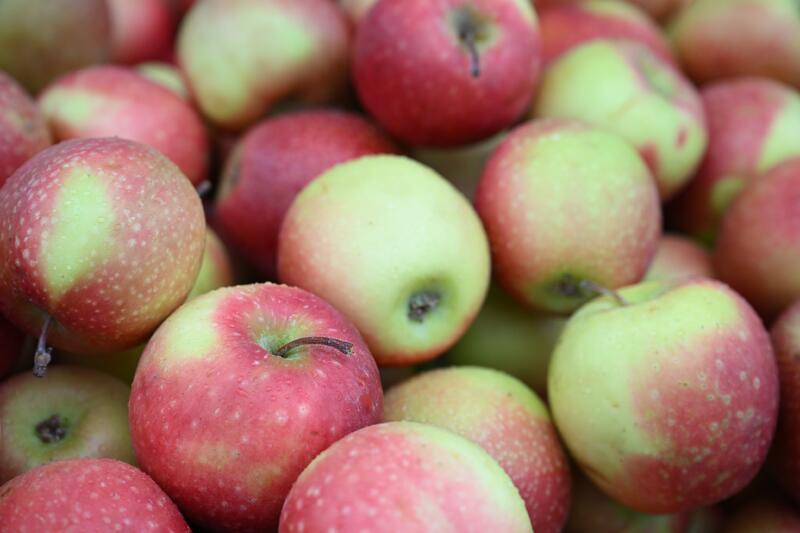 Ярмарка в Жетісу: 80 тонн свежих продуктов по доступным ценам