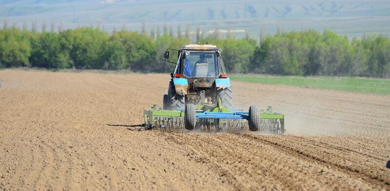 В Талдыкоргане активно ведутся весенние полевые работы