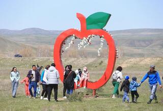 Бейбит Исабаев: «Создание благоприятных условий для туристов – одна из главных задач»